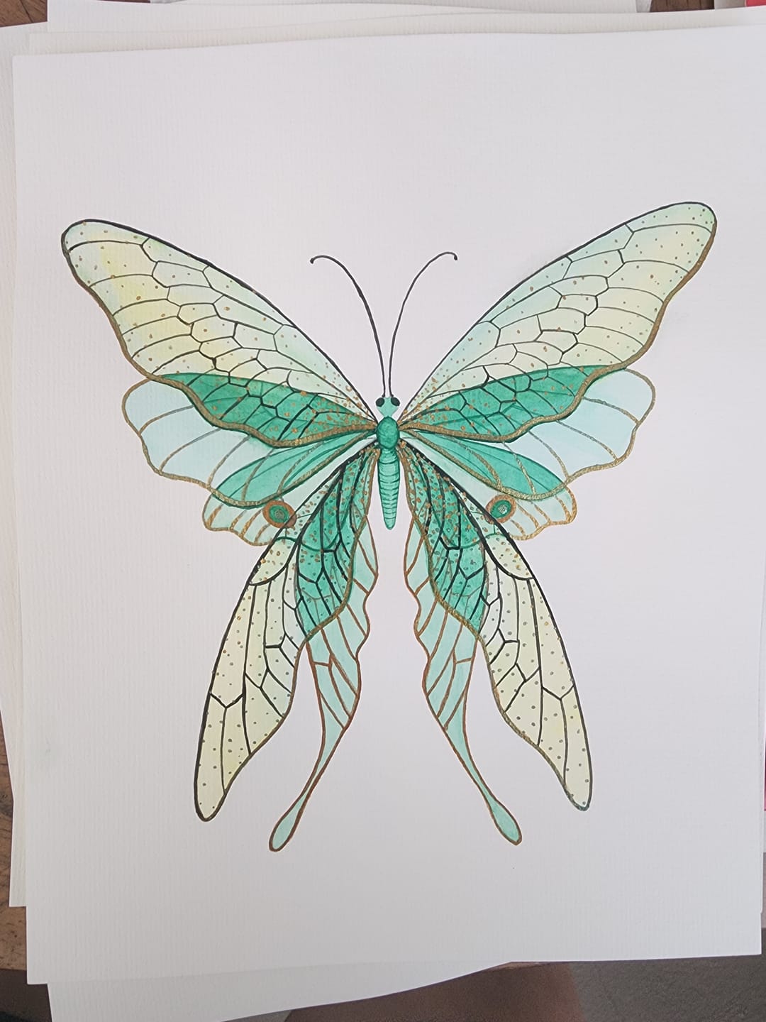Customer photo review of The Luminous Treasury Box - 28 COLORS BUNDLE- (4 COLOR SHIFTERS, 24 SHIMMER COLORS)