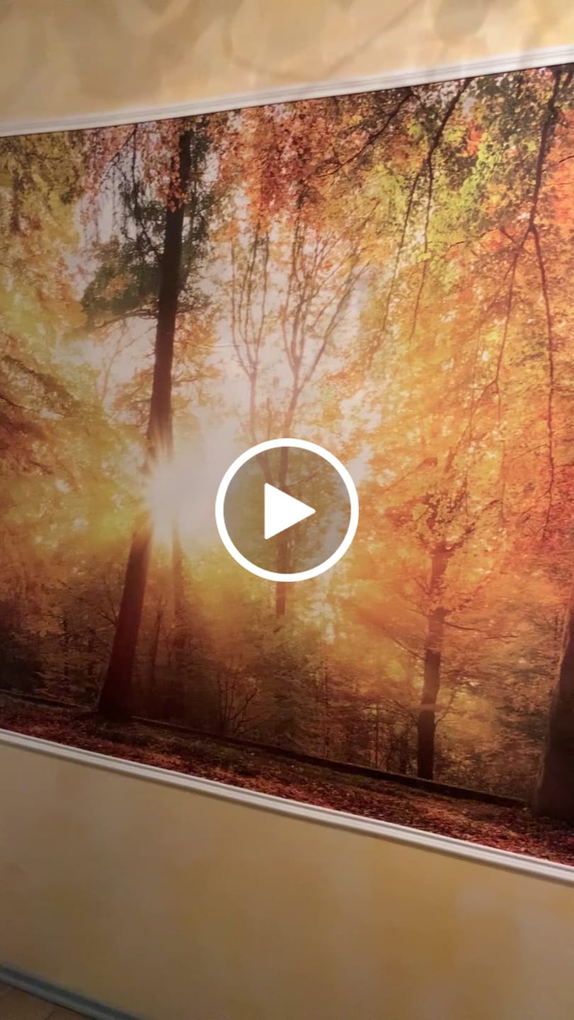 Customer video review of Vlies Tapete Poster XXL Fototapete Natur Herbst Wald