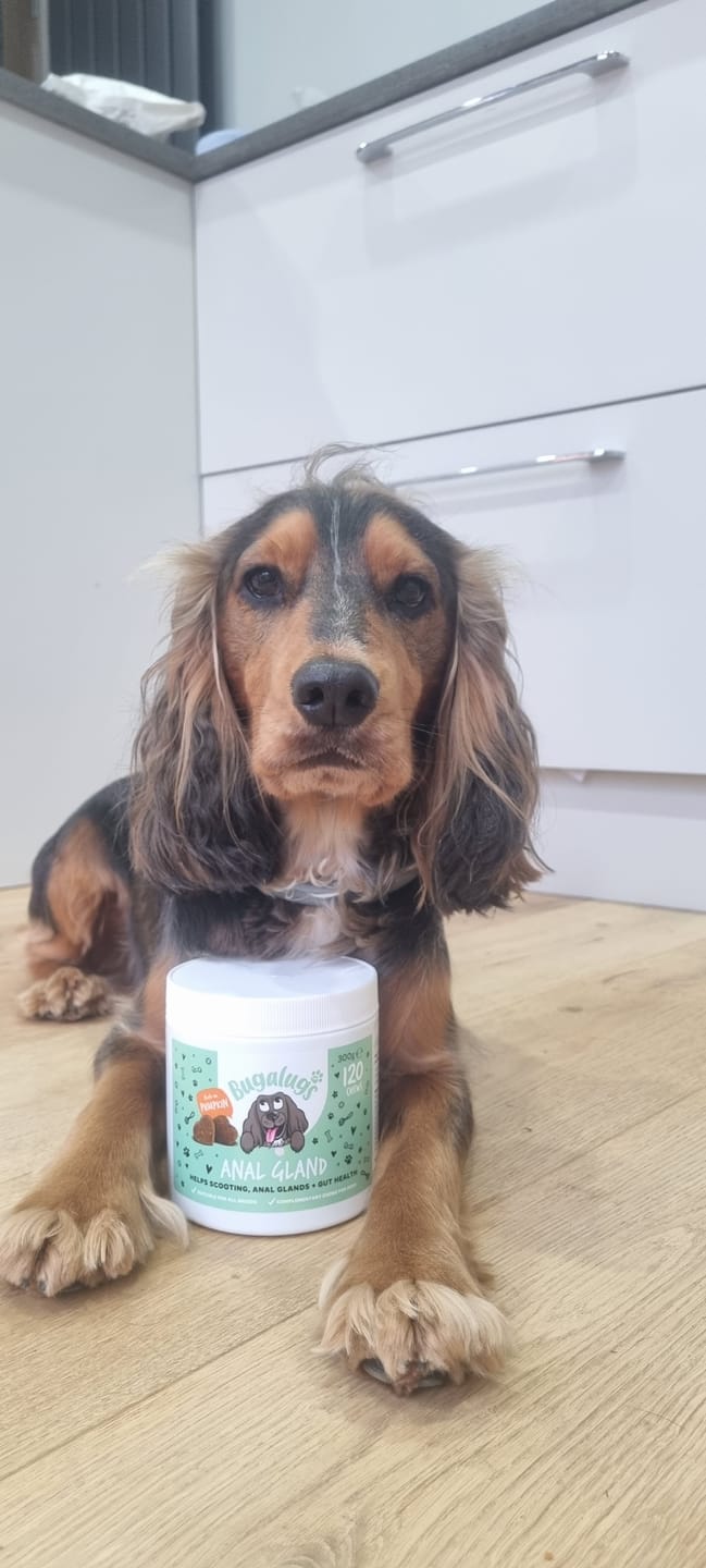 Customer photo review of Anal Gland Supplement Chews