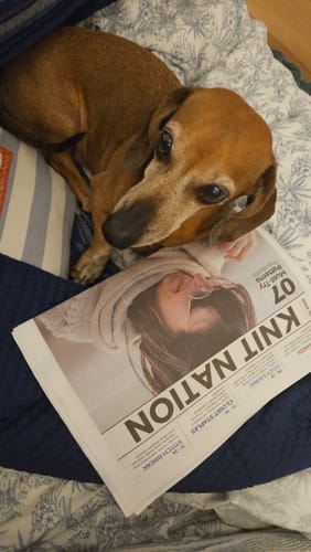 Customer photo review of Annual Subscription • Knit Nation