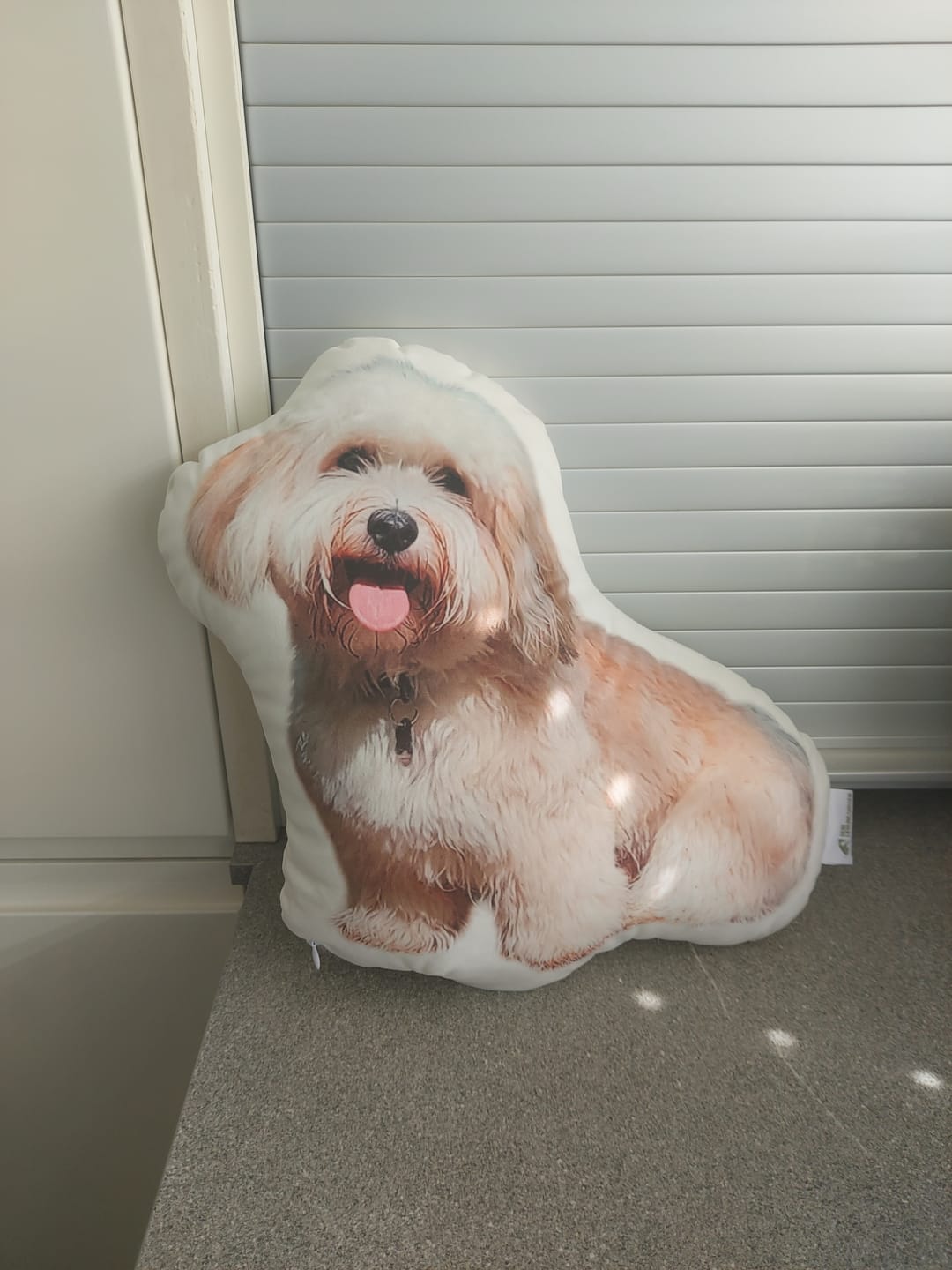 Customer photo review of Personalisiertes Hundekissen