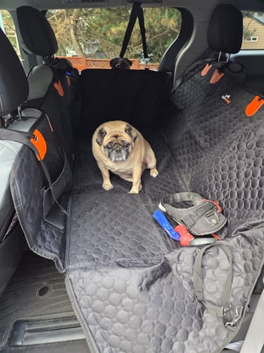 Customer photo review of RuffRover 2.0™ - Hard Bottom Dog Car Seat Protector