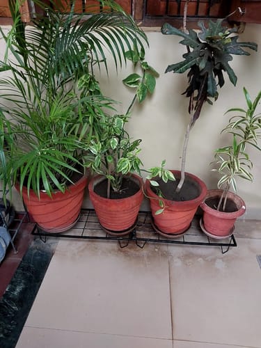Customer photo review of United Crafts Indoor & Outdoor Rectangle Heavy Flower Pot Stand