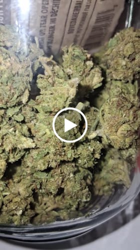 Customer video review of Greenhouse Smalls