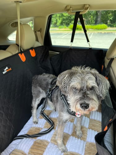 Customer photo review of RuffRover 2.0™ - Hard Bottom Back Seat Extender + (FREE Dog Bed)