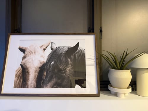 Customer photo review of Soulmates | Horses Art Print