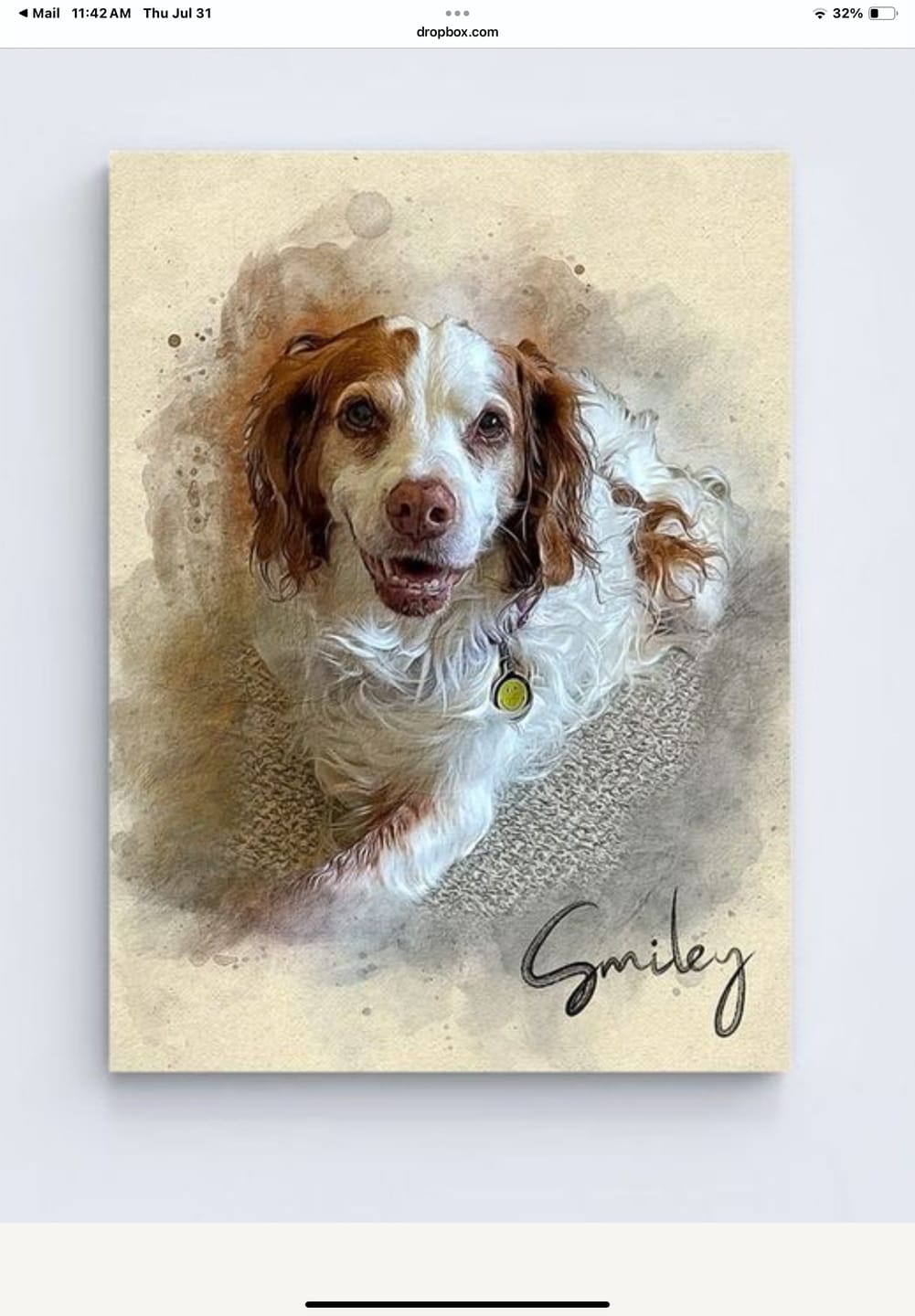 Customer photo review of Personalized Pet portrait