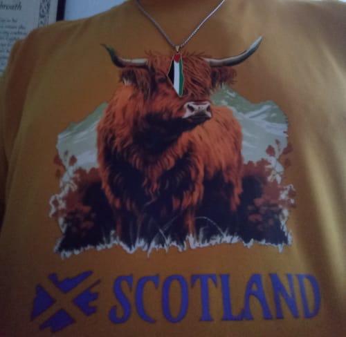 Customer photo review of Palestine Pride Map Necklace