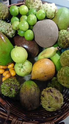 Customer photo review of Sugar Apple (Sweet Sop)