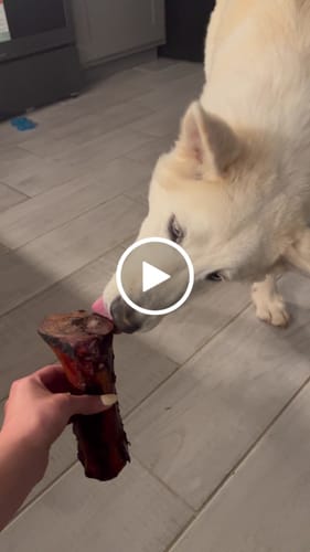 Customer video review of Smoked Beef Marrow Bone