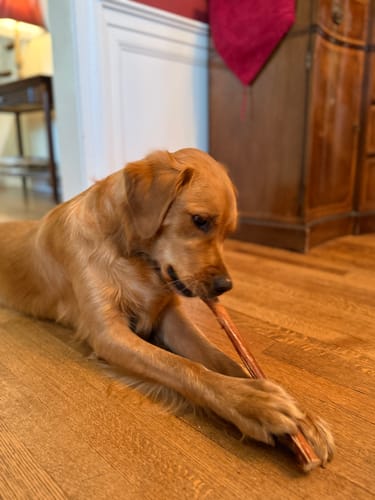 Customer photo review of 12" Monster Bully Sticks
