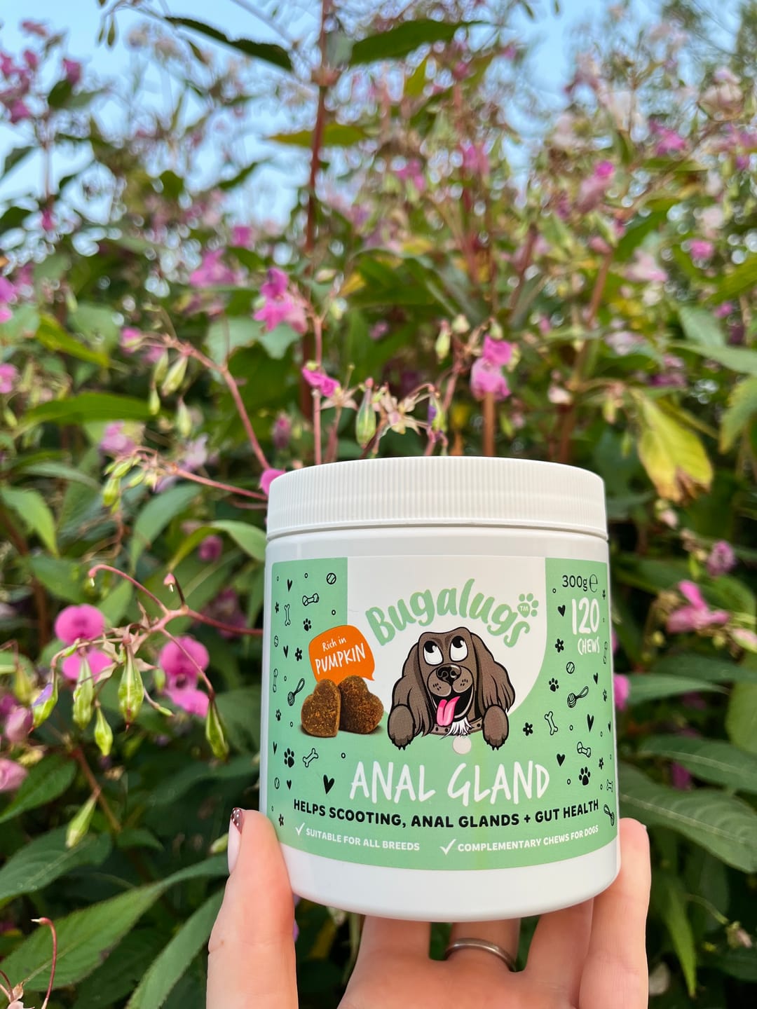 Customer photo review of Anal Gland Supplement Chews
