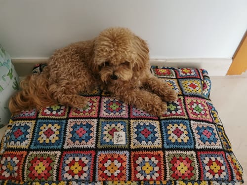 Customer photo review of Cover Materassino Crochet Cotone Panama Superior