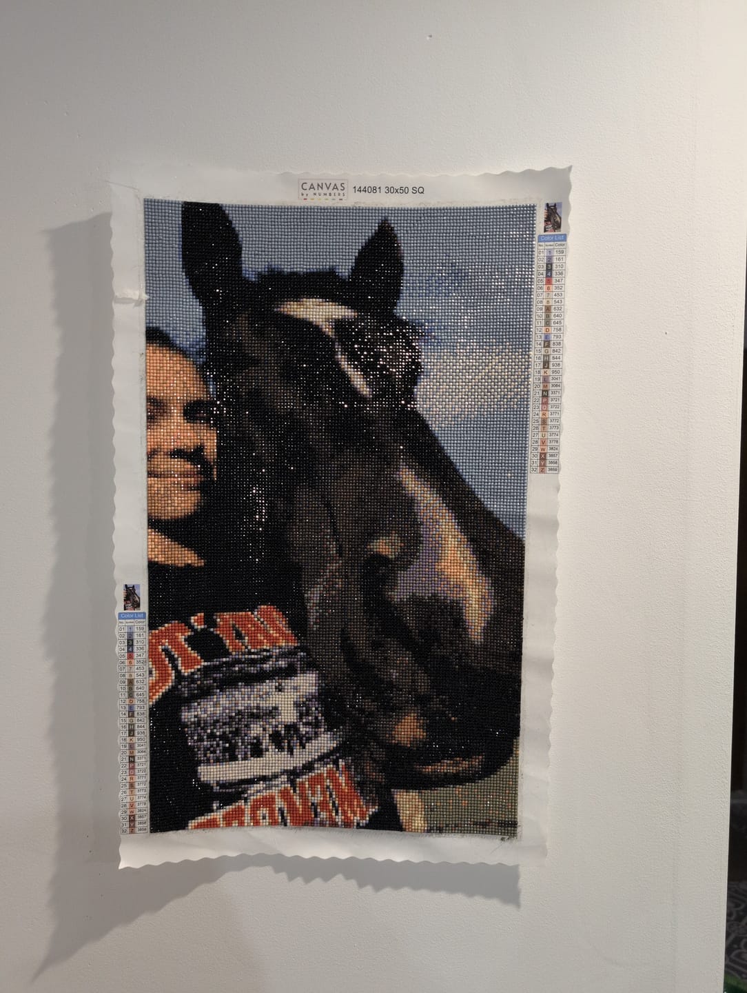 Customer photo review of Custom Diamond Painting