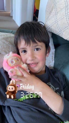 Customer photo review of Pop Mart Labubu The Monsters Big into Energy Series Vinyl Plush Pendant Single Blind Box