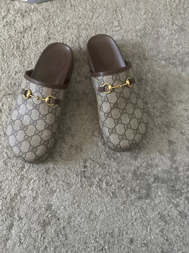 Customer photo review of MULE WITH GOLD HORSEBIT IN BEIGE AND EBONY MONOGRAM CANVAS