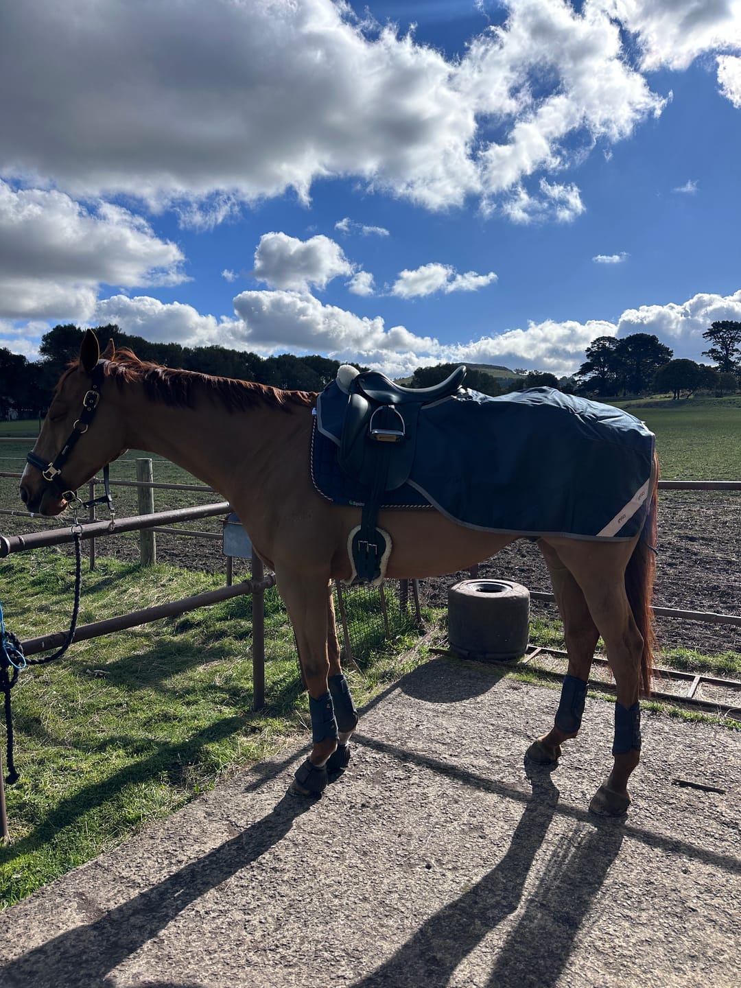 Customer photo review of Amigo Ripstop Exercise Sheet