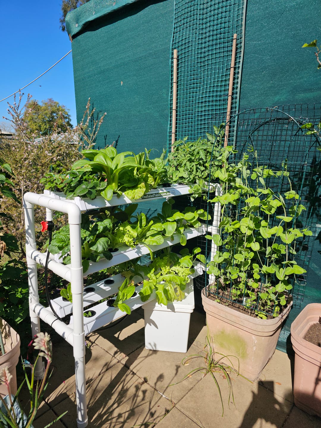 Customer photo review of The Triple Decker Salad Table