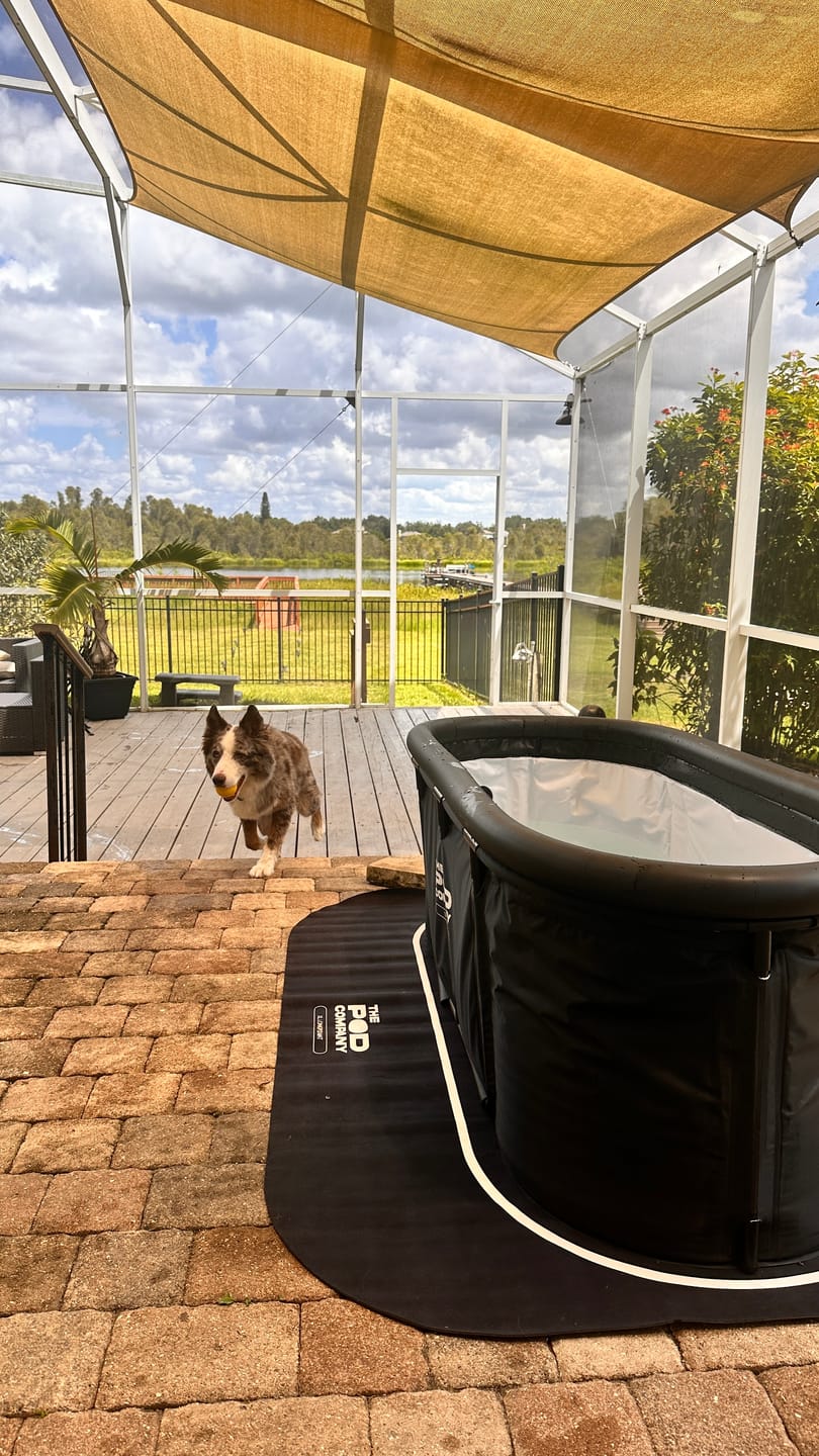 Customer photo review of The Long Pod