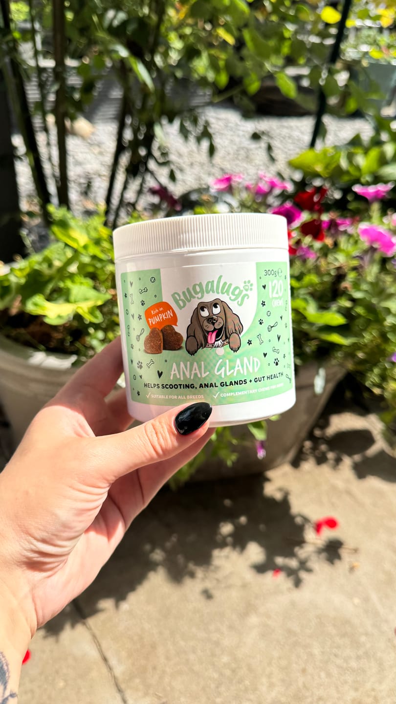 Customer photo review of Anal Gland Supplement Chews