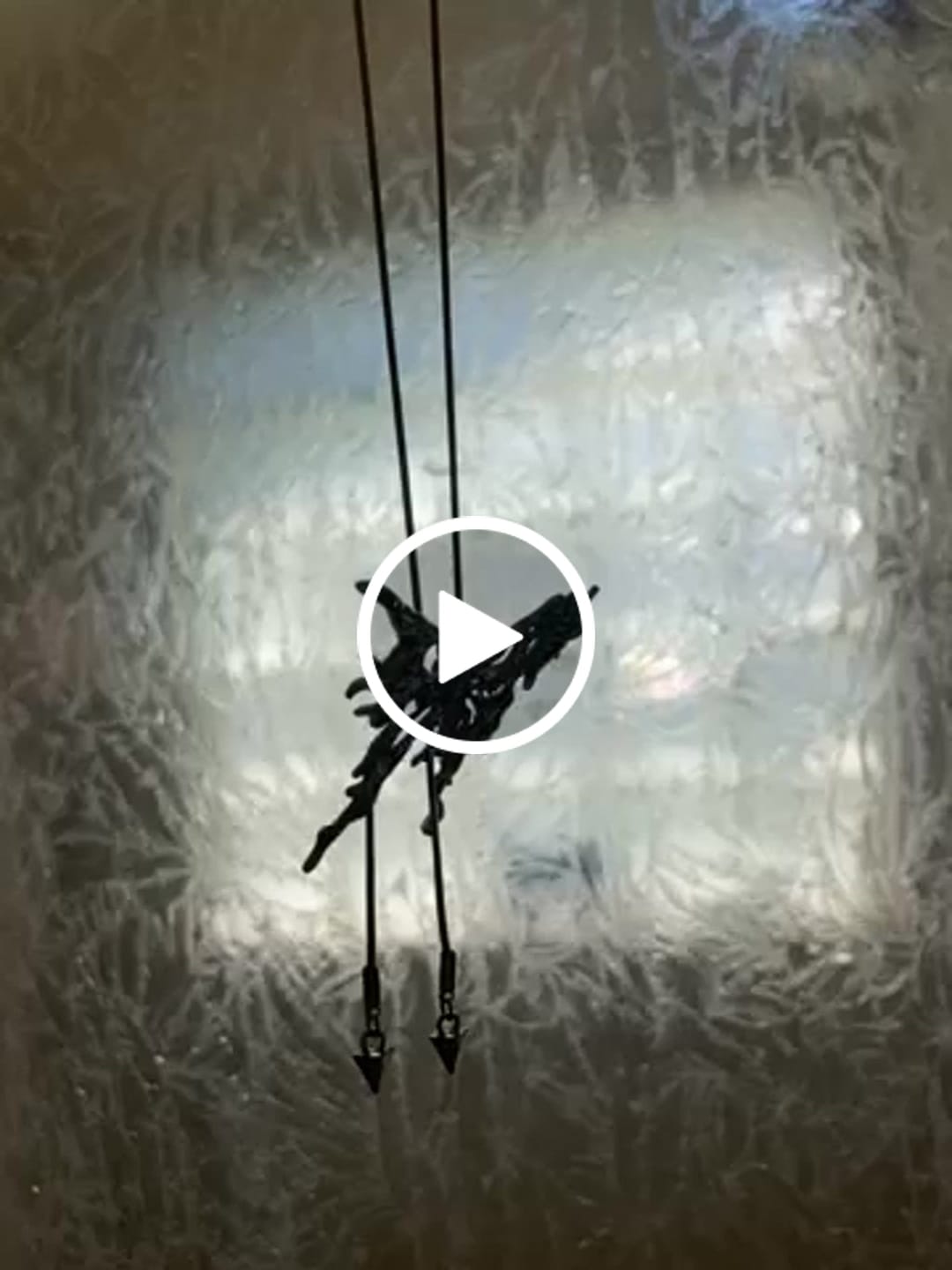 Customer video review of Winx Necklace