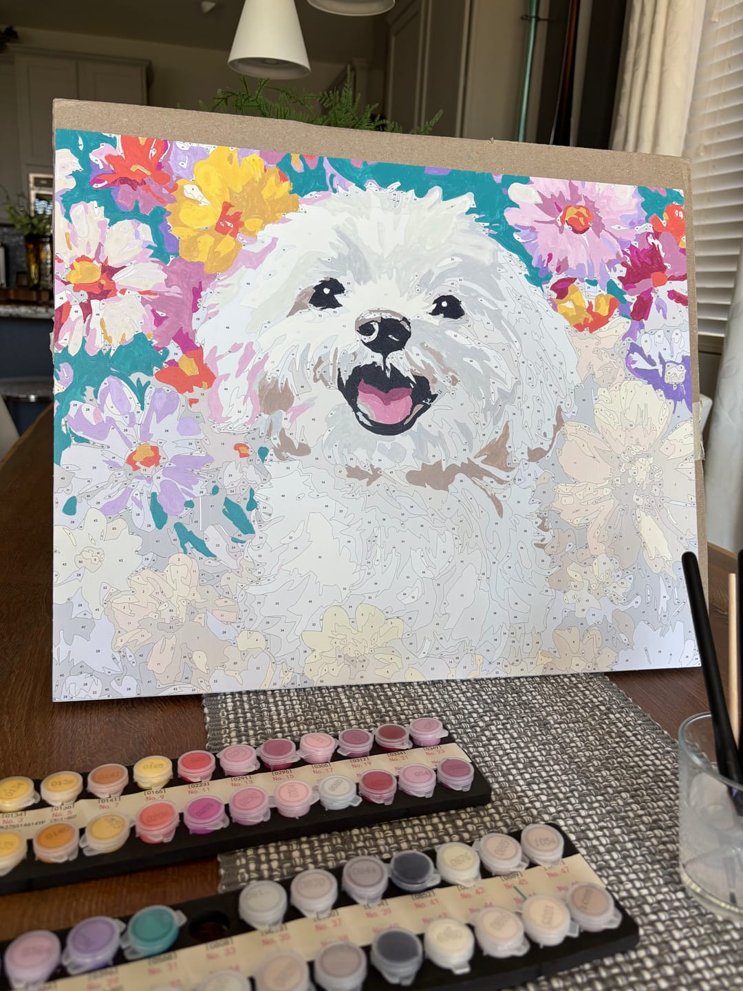 Customer photo review of Bichon Frise