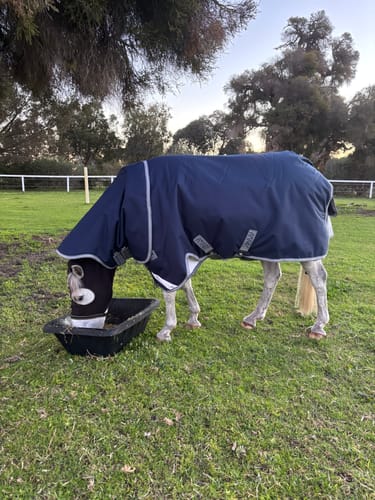 Hayley G. review of Amigo 1200D Plus Pony Turnout 250g image 1 out of 3