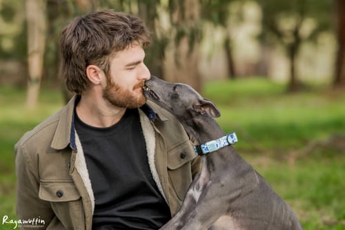 Customer photo review of Roo Tendons