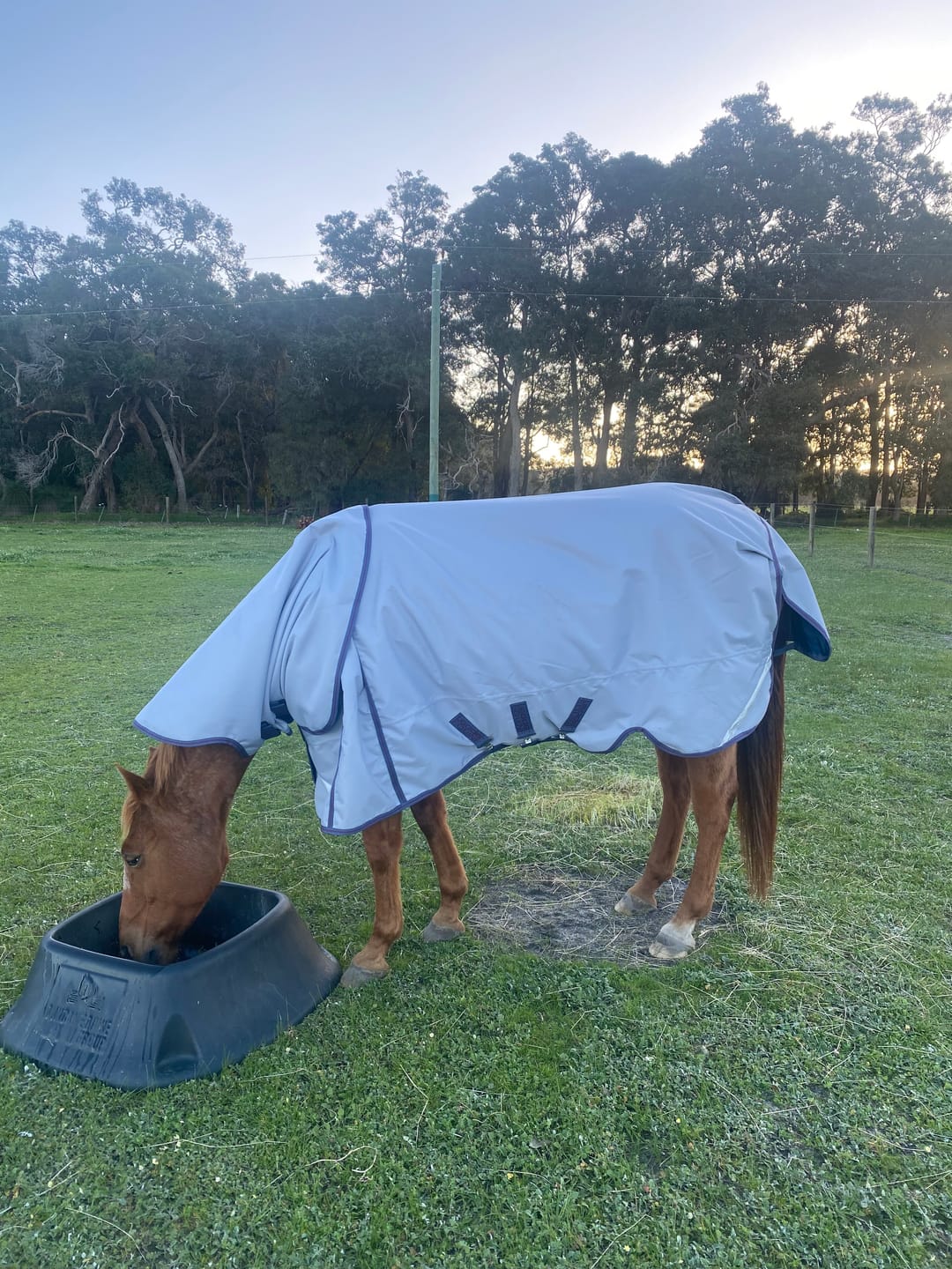 Customer photo review of LE Boxter Turnout Ripstop 50g