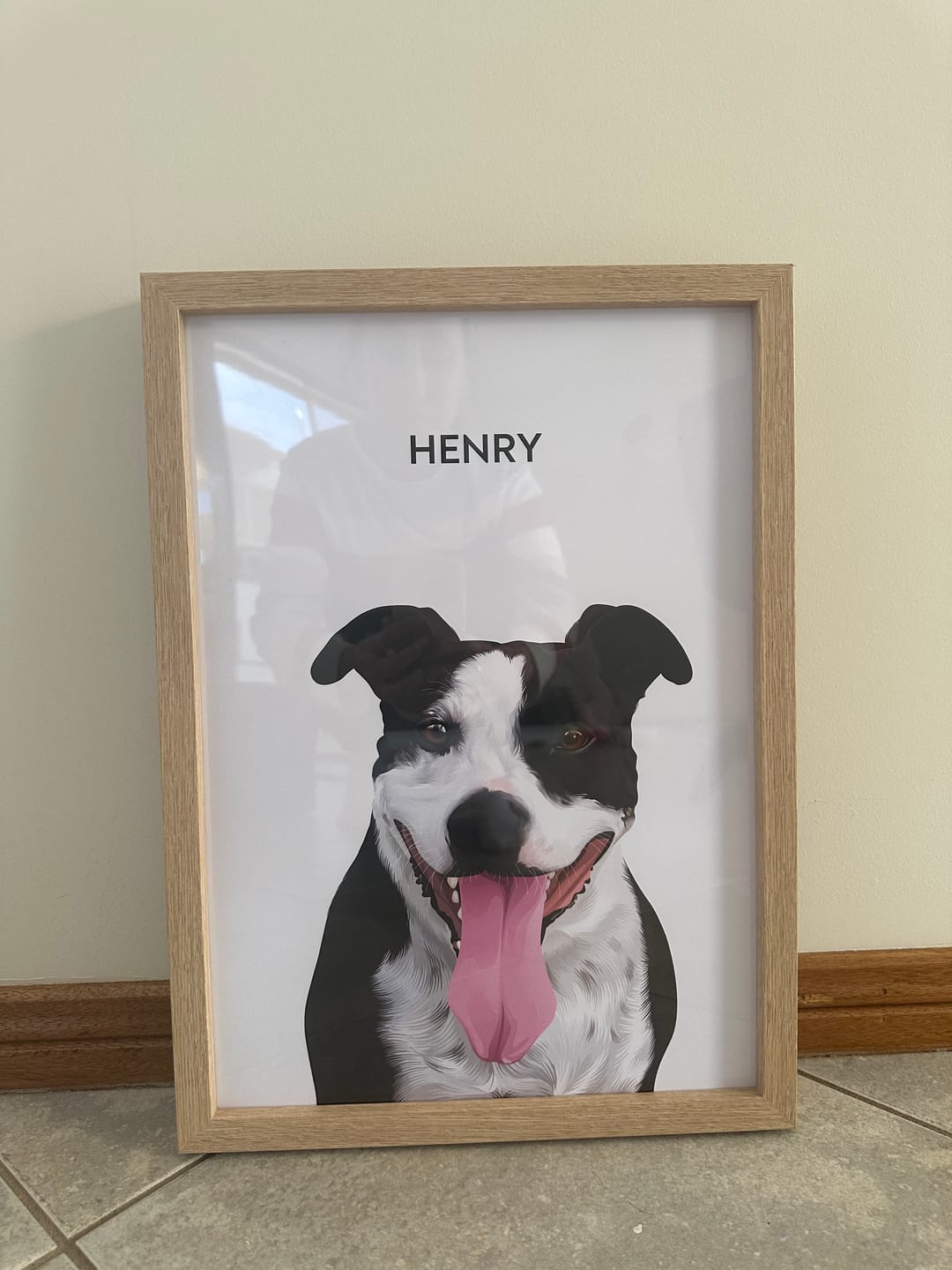 Customer photo review of 1 Pet