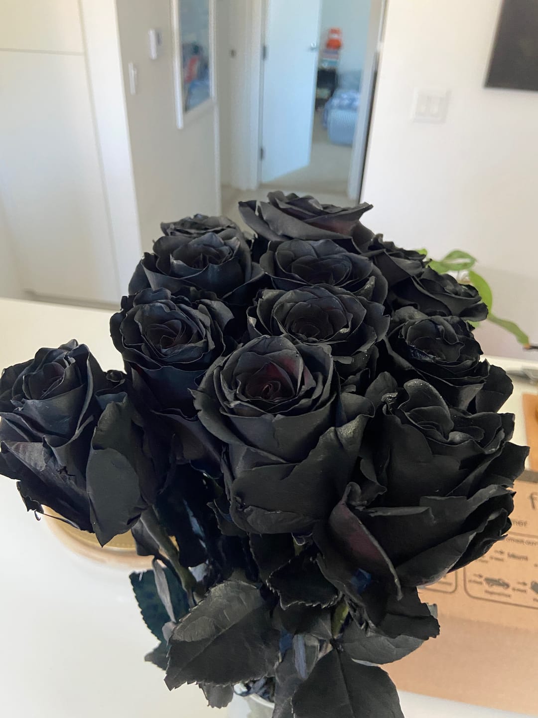 Customer photo review of Black Roses