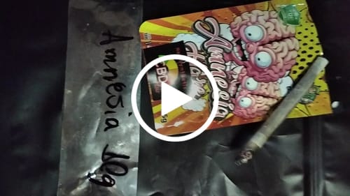 Customer video review of Hi Bros®-  Ⓐmnesia