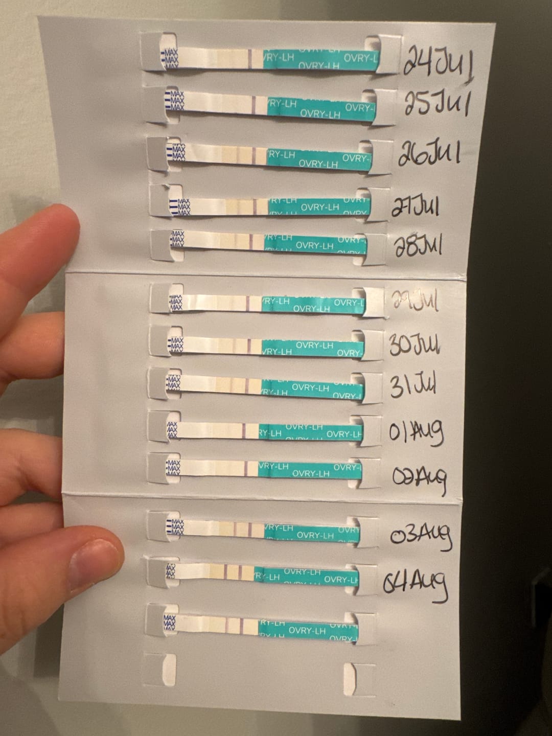 Customer photo review of Ovulation Test Strips