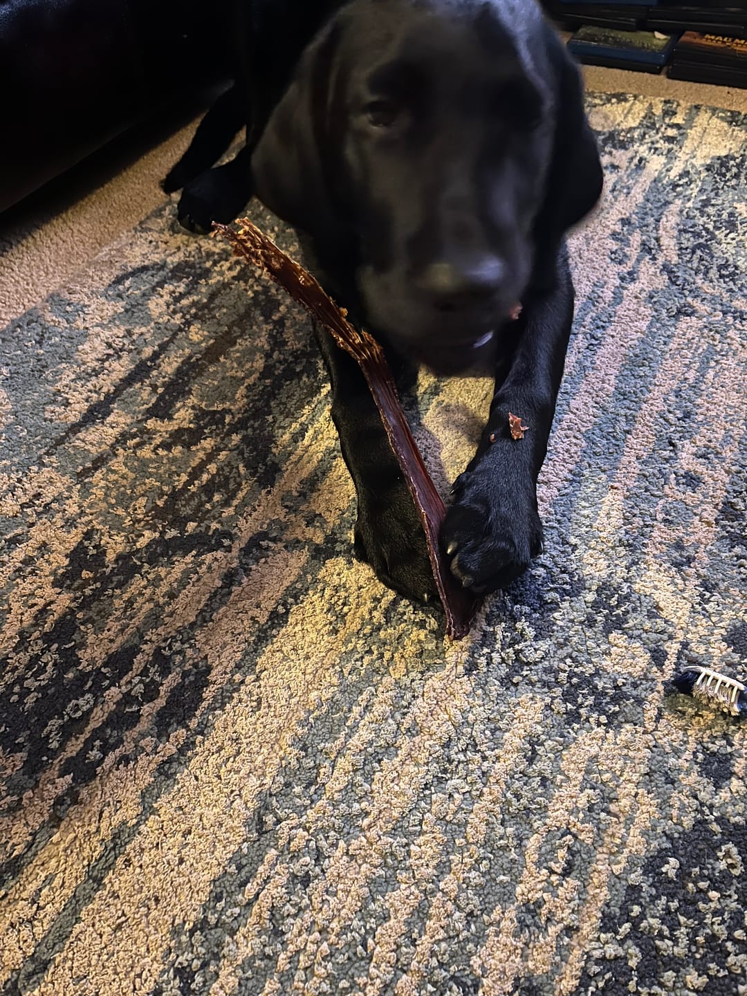 Customer photo review of 12 Inch Beef Jerky Strip