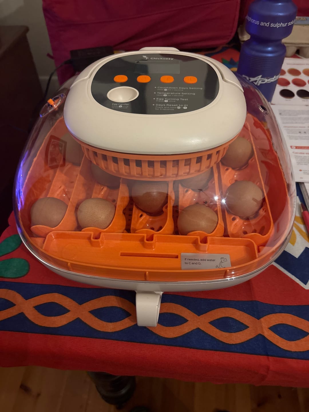 Customer photo review of Egg Incubator -25 Egg Capacity