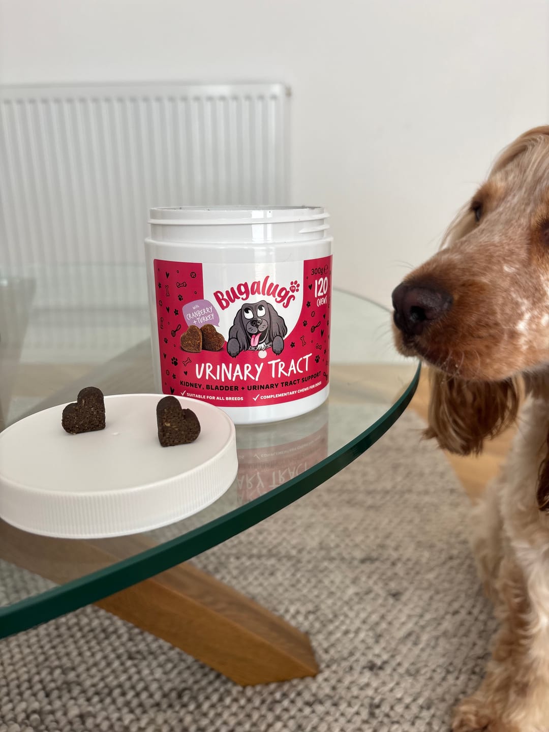 Customer photo review of Urinary Tract Supplement Chews