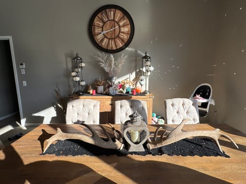 Customer photo review of Daisy Baby Clam