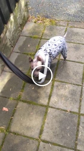 Customer video review of 1.4m Active Light Lead - Grey