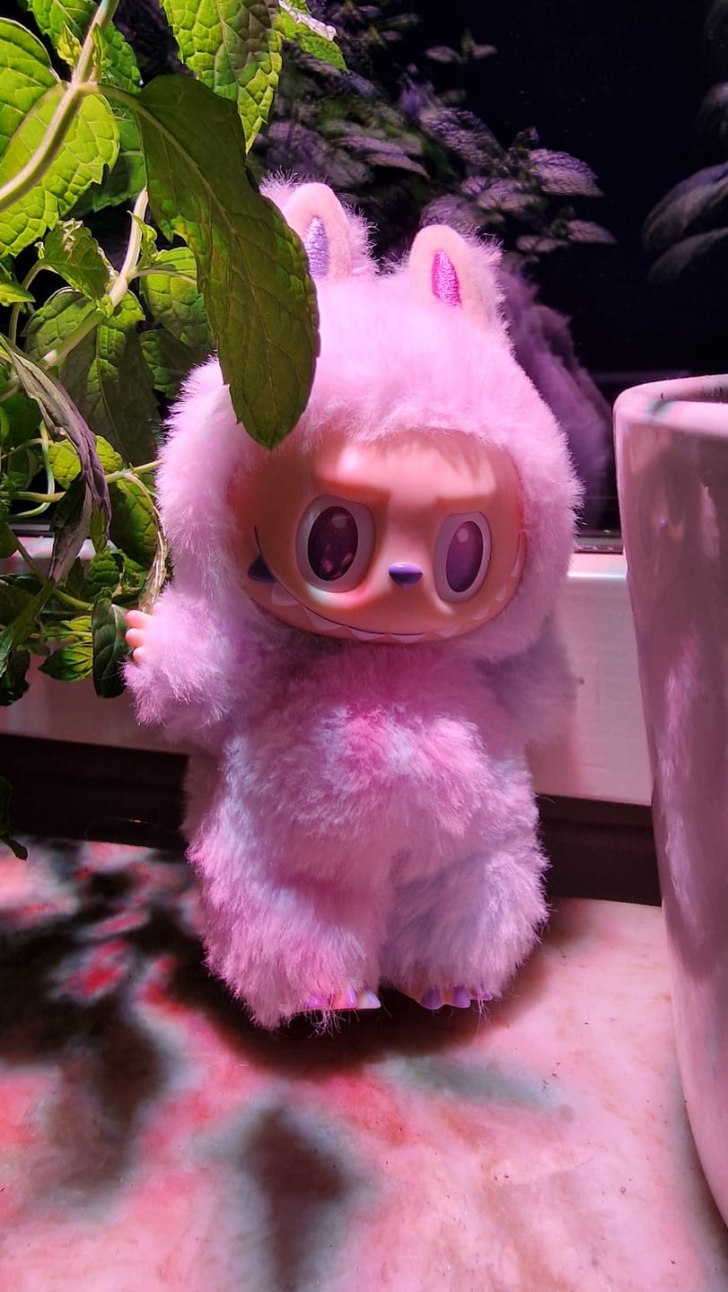 Customer photo review of Pop Mart Labubu The Monsters Big into Energy Series Blind Box