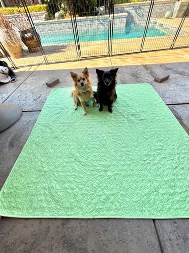 Customer photo review of Potty Buddy™ - The Durable Leak-Free Potty Pad