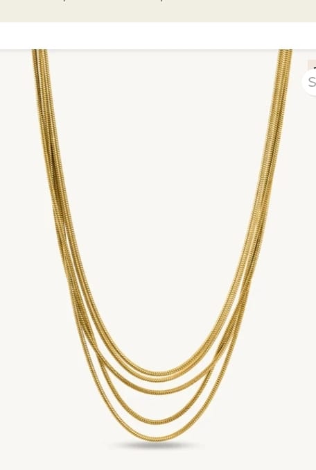 Customer photo review of Golden Layers Chain Necklace