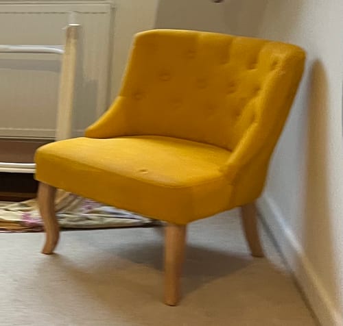 Customer photo review of Fabric Paint -- Mustard Yellow