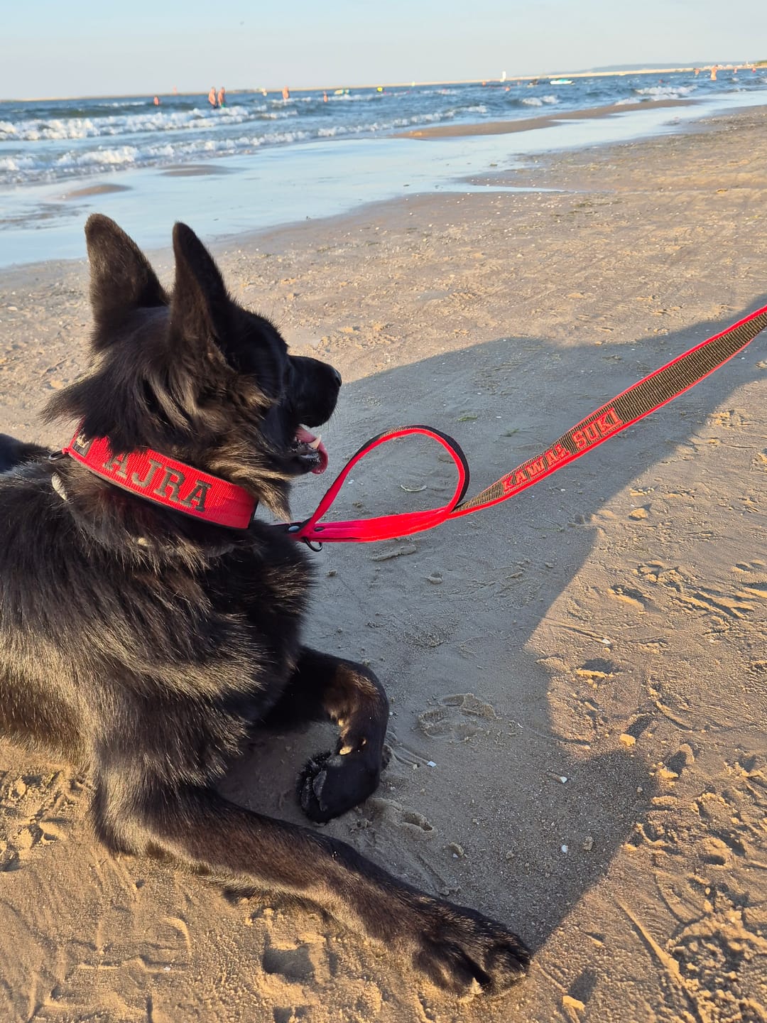 Customer photo review of Smycz przepinana dla psa z imieniem - Personal Multi Leash