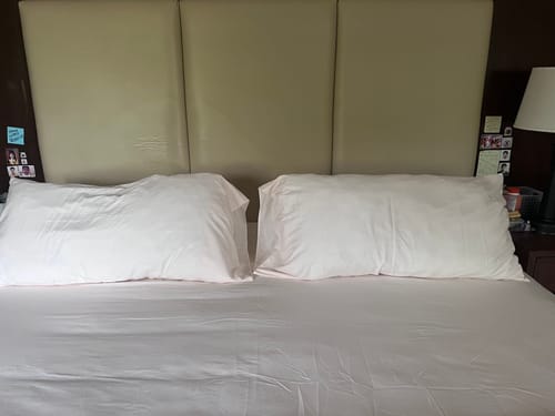 Customer photo review of Plain Iris