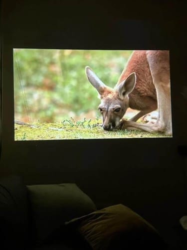 Customer photo review of Mini Portable Projector - HD | Wifi | Bluetooth