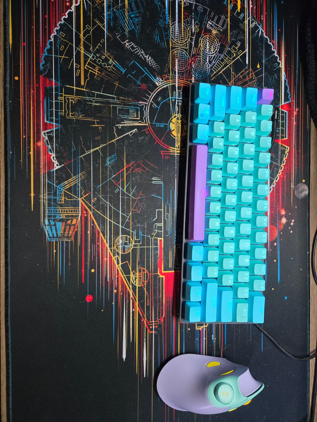 Customer photo review of The Neon Falcon
