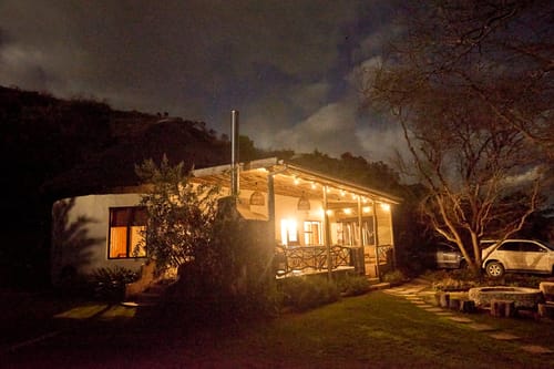 Customer photo review of Solar Festoon Bulb String Lights - Traditional LED Bulbs, Black