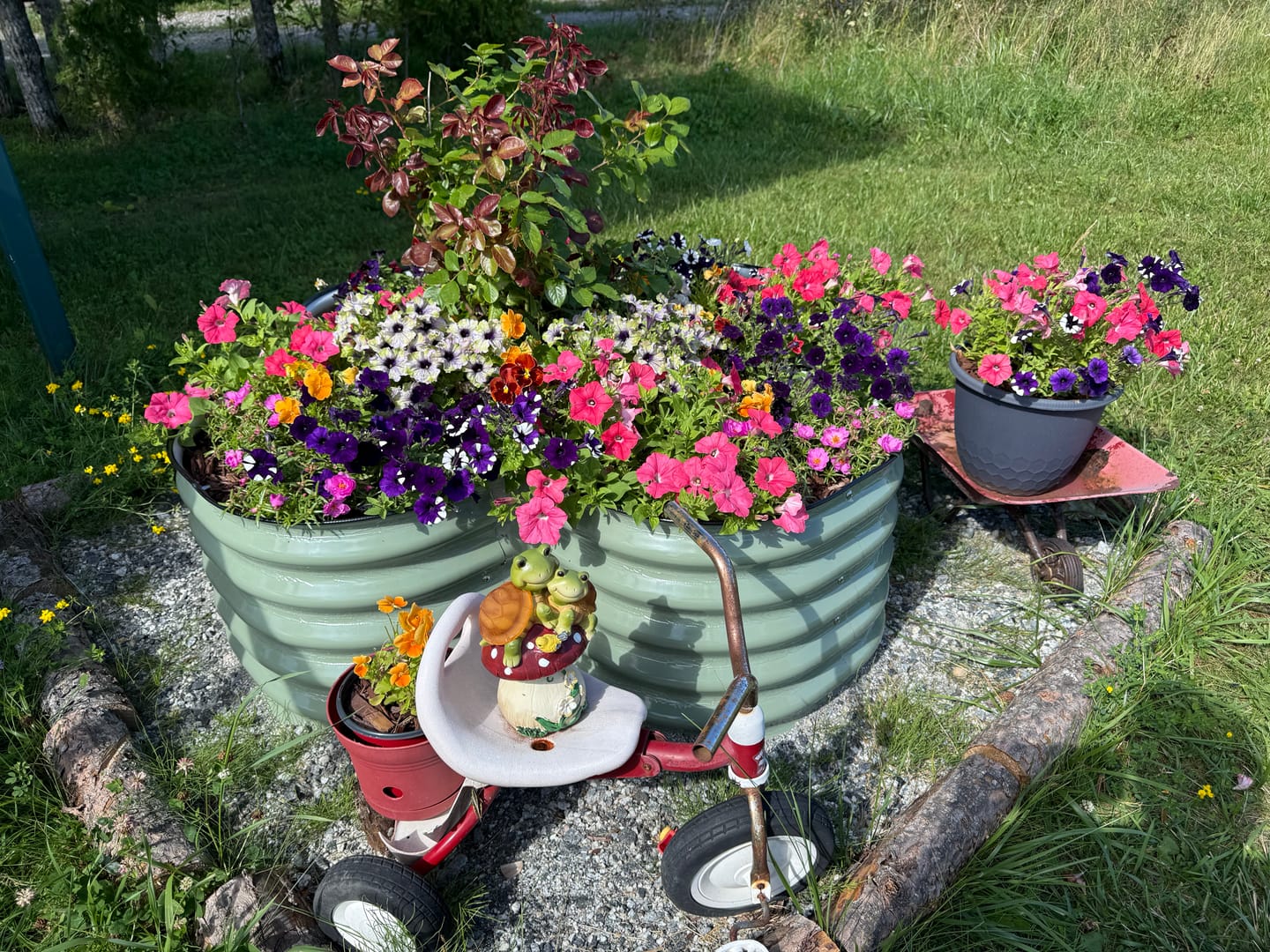 Customer photo review of 17" Tall Four Leaf Clover