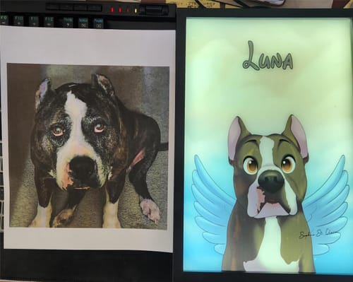 Customer photo review of Custom Pet Light Box Art