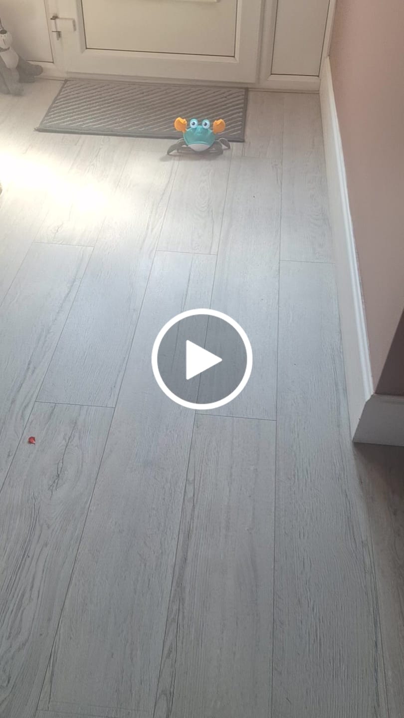 Customer video review of The Crawly Crab™